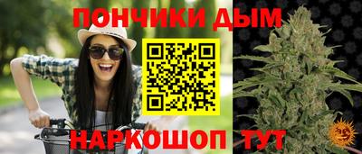 твердый Железногорск