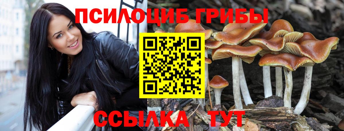 Галлюциногенные грибы Magic Shrooms Гурьевск